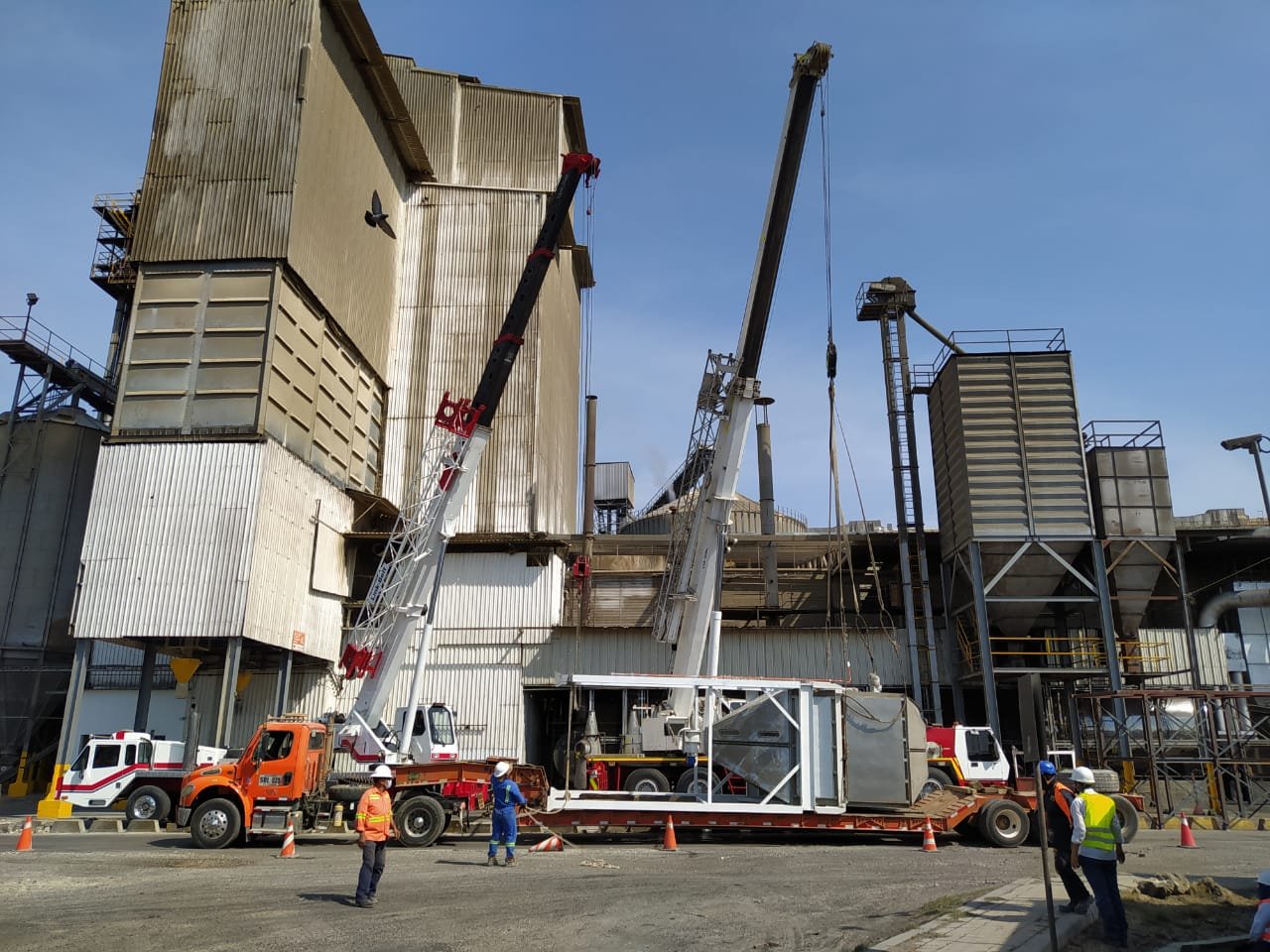 WhatsApp Image 2021-05-11 at 8.03.02 AM